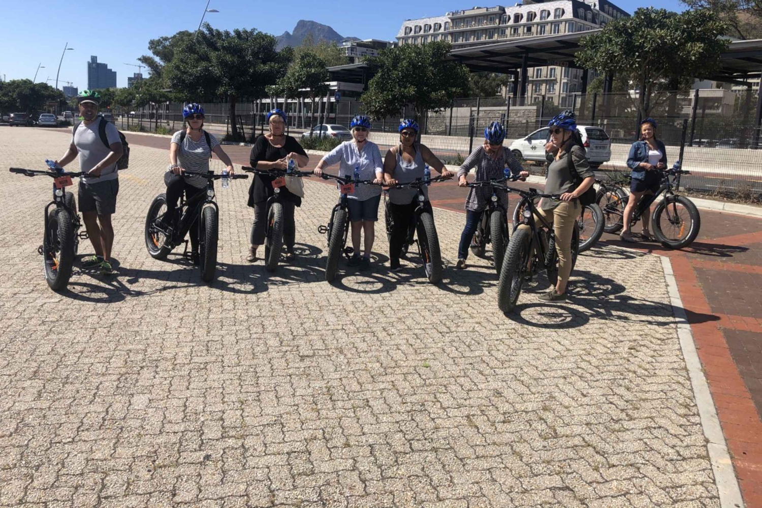 Cape Town: Halvdags e-sykkel bytur