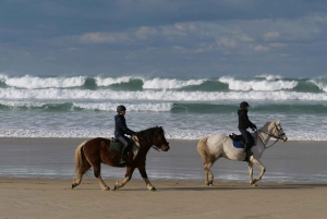 Kapsztad: wycieczka prywatna z indywidualnym planem zwiedzania