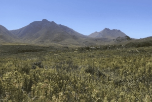 Ист-Лондон: поездка в горы Хогсбек с проживанием