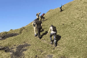 Ист-Лондон: поездка в горы Хогсбек с проживанием