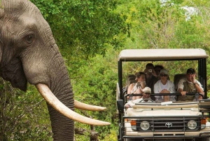 Von Kapstadt: 12-tägiges großes Abenteuer nach Johannesburg