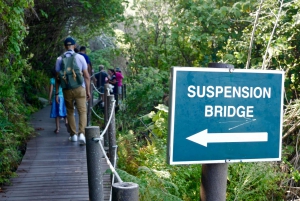 From Cape Town: 5-Day Best of Garden Route & Addo Safari