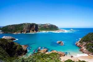 From Cape Town: 5-Day Best of Garden Route & Addo Safari