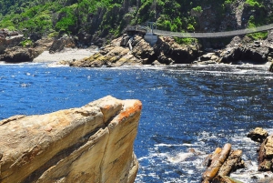 From Cape Town: 5-Day Best of Garden Route & Addo Safari