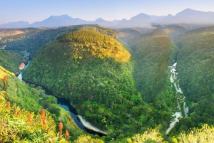 From Cape Town: 5-Day Best of Garden Route & Addo Safari