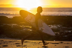 From Cape Town: 5-Day Best of Garden Route & Addo Safari