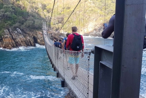 From Cape Town: 5-Day Best of Garden Route & Addo Safari