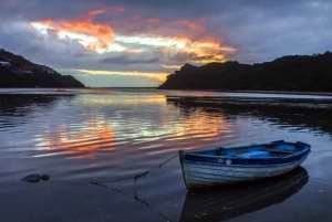 From Cape Town: 5-Day Best of Garden Route & Addo Safari