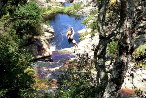 From Cape Town: 5-Day Best of Garden Route & Addo Safari