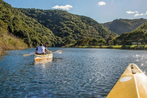 From Cape Town: Garden Route Highlights 3-Day Safari Tour