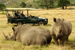 From Cape Town: Garden Route Highlights 3-Day Safari Tour