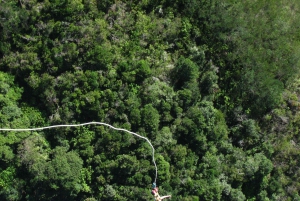 From Cape Town: Garden Route Highlights 3-Day Safari Tour