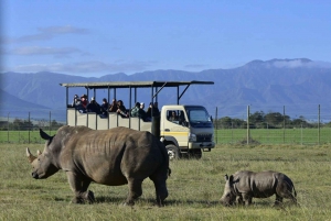 From Cape Town: Garden Route Highlights 3-Day Safari Tour