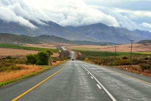 From Cape Town: Garden Route Highlights 3-Day Safari Tour