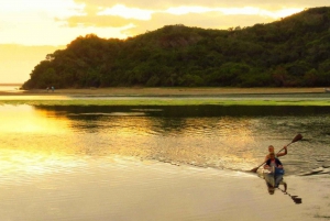 From Cape Town: Garden Route Highlights 3-Day Safari Tour