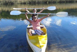 From Cape Town: Garden Route Highlights 3-Day Safari Tour