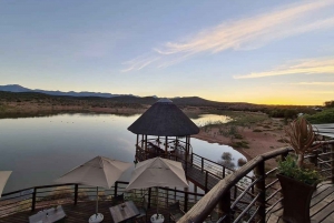 From Cape Town: Garden Route Highlights 3-Day Safari Tour