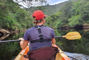 From Cape Town: Garden Route Highlights 3-Day Safari Tour