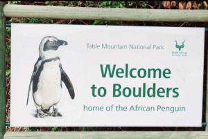 Wycieczka po trasie ogrodowej do Kapsztadu [5 dni]: Port Elizabeth