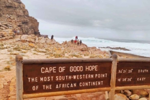 Wycieczka po trasie ogrodowej do Kapsztadu [5 dni]: Port Elizabeth