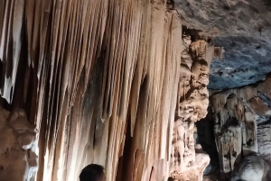 Wycieczka po trasie ogrodowej do Kapsztadu [5 dni]: Port Elizabeth