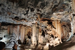 Wycieczka po trasie ogrodowej do Kapsztadu [5 dni]: Port Elizabeth