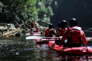 Wycieczka po trasie ogrodowej do Kapsztadu [5 dni]: Port Elizabeth