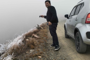 Wycieczka po trasie ogrodowej do Kapsztadu [5 dni]: Port Elizabeth