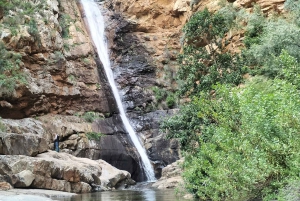 Wycieczka po trasie ogrodowej do Kapsztadu [5 dni]: Port Elizabeth