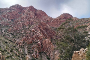 Wycieczka po trasie ogrodowej do Kapsztadu [5 dni]: Port Elizabeth