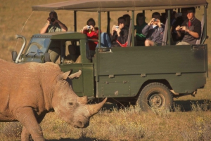 Całodniowy park Addo i rezerwat gier Schotia (otwarty pojazd 4x4)