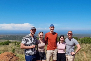 Całodniowy park Addo i rezerwat gier Schotia (otwarty pojazd 4x4)