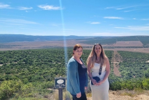 Całodniowy park Addo i rezerwat gier Schotia (otwarty pojazd 4x4)