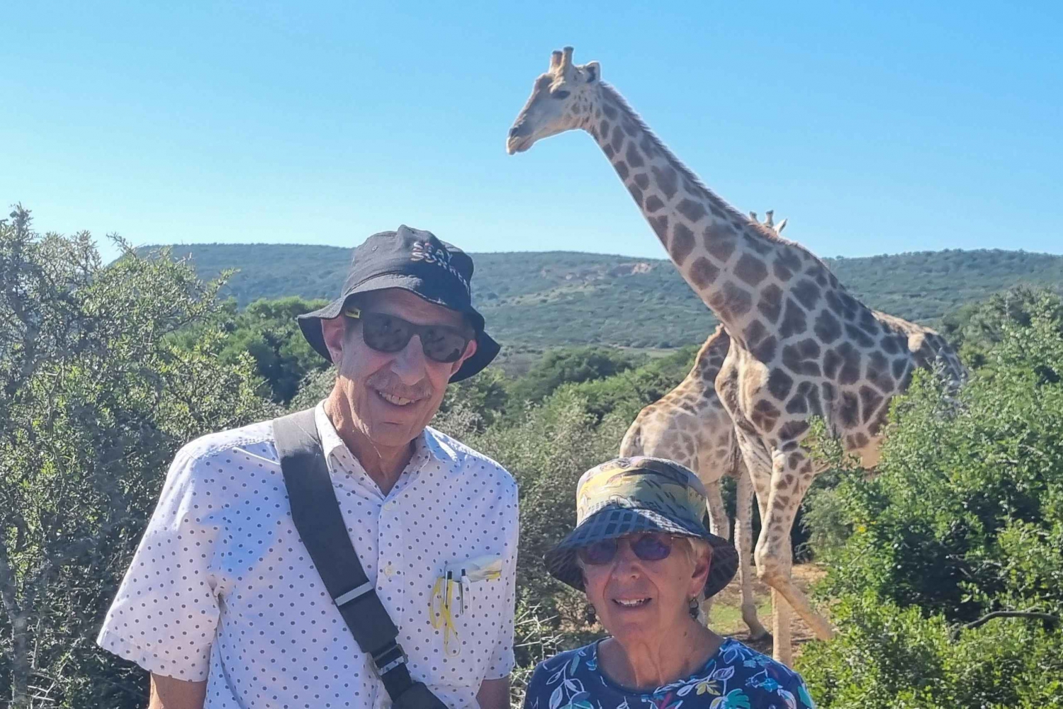 Полнодневная прогулка по заповеднику Schotia Game Reserve & Giraffe Walk (открытый 4x4)