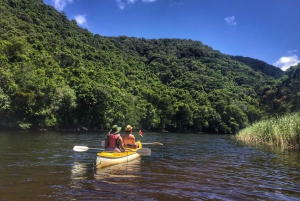 Route des jardins et parc national des éléphants d'Addo : safari de 5 jours