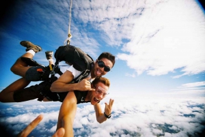 Route des jardins et parc national des éléphants d'Addo : safari de 5 jours