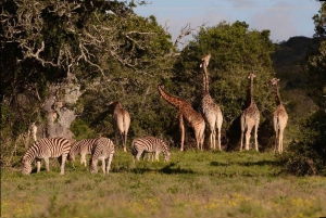 Дорога садов: индивидуальная экскурсия с гидом