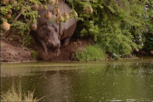 Дорога садов: индивидуальная экскурсия с гидом