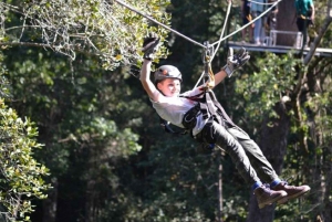 Garden Route National Park: Tsitsikamma Zipline Canopy Tour