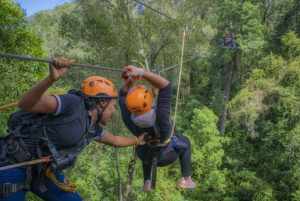 Garden Route National Park: Tsitsikamma Zipline Canopy Tour