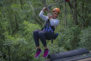Garden Route National Park: Tsitsikamma Zipline Canopy Tour