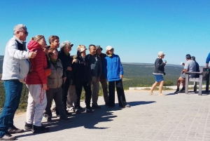 Национальный парк Аддо-Элефант и Маунтин-Зебра: двухдневное сафари