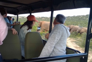 Национальный парк Аддо-Элефант и Маунтин-Зебра: двухдневное сафари