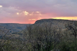 Национальный парк Аддо-Элефант и Маунтин-Зебра: двухдневное сафари