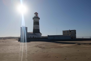 Gqeberha: Połączenie Parku Narodowego Addo Elephant i wycieczki wzdłuż wybrzeża