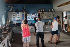 Gqeberha: Połączenie Parku Narodowego Addo Elephant i wycieczki wzdłuż wybrzeża