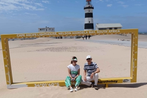 Gqeberha: Połączenie Parku Narodowego Addo Elephant i wycieczki wzdłuż wybrzeża