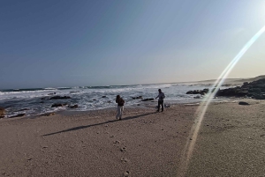 Gqeberha: Połączenie Parku Narodowego Addo Elephant i wycieczki wzdłuż wybrzeża