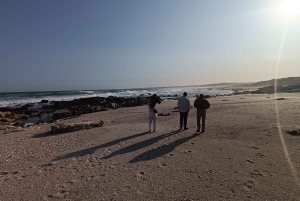 Gqeberha: Połączenie Parku Narodowego Addo Elephant i wycieczki wzdłuż wybrzeża