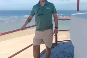 Gqeberha: Połączenie Parku Narodowego Addo Elephant i wycieczki wzdłuż wybrzeża